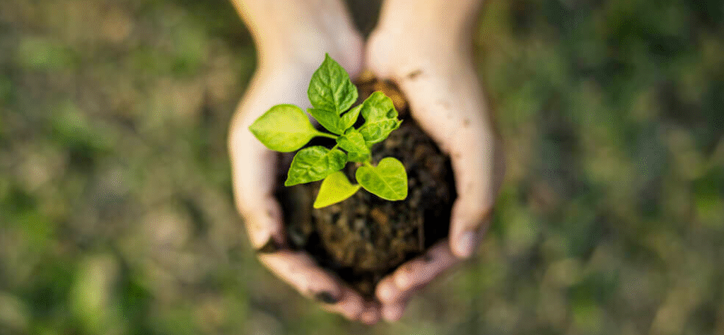 Sustentabilidade na construção civil: como Minas Gerais está adotando práticas mais verdes